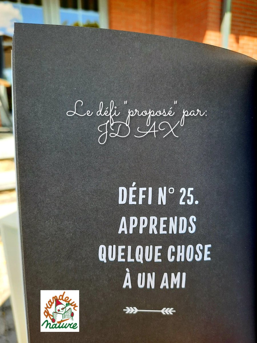 Le livre des garçons du 21e siècle – Image 6